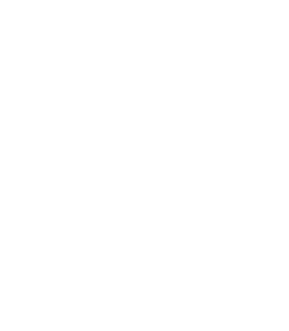 waytowin-logo-light